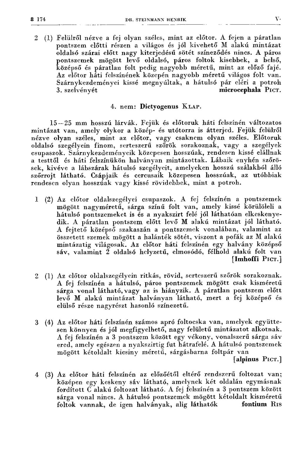 8 174 DK. S'I'EINMANN HENRIK. V- 2 (1) F elülről nézve a fej olyan széles, m in t az előtör.