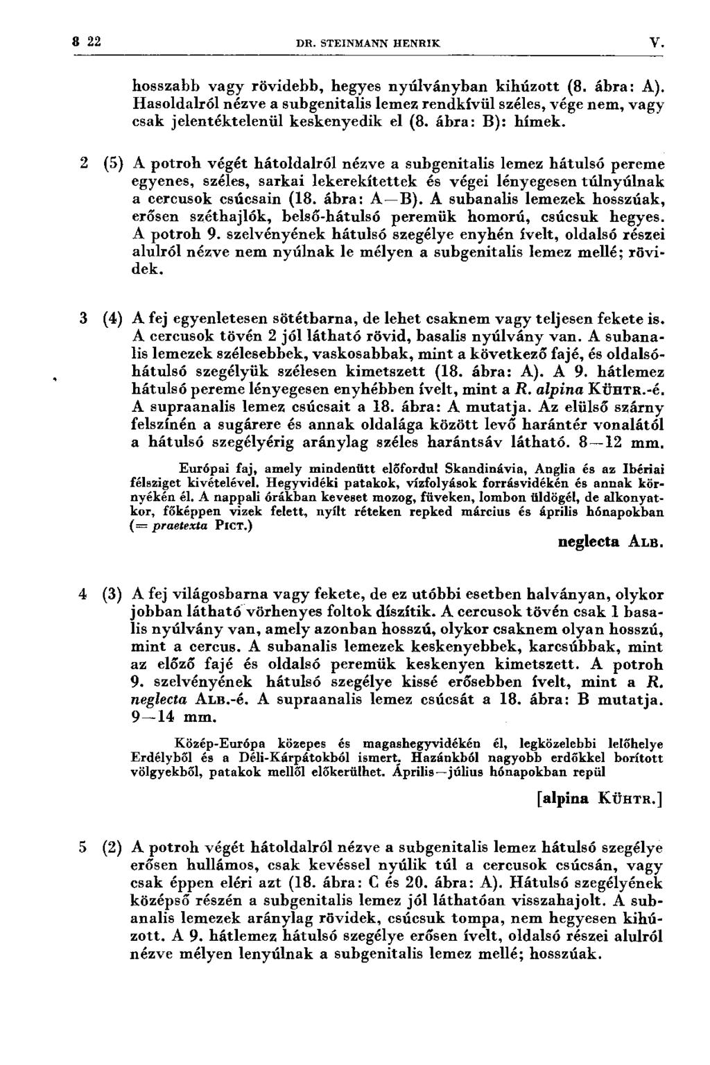 8 22 DR. STEINMANN HENRIK V. hosszabb vagy rövidebb, hegyes nyúlványban kihúzott (8. ábra: A).