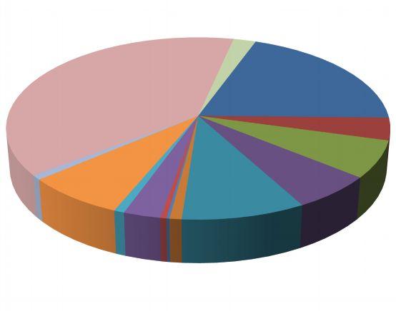 13. számú ábra A munkavédelmi ellenőrzésben résztvevő társhatóságok 39% 20% 2% Rendőrség Fogyasztóvédelmi Felügyelőség Nemzeti Népegészségügyi Központ Nemzeti Adó- és Vámhivatal Katasztrófavédelem