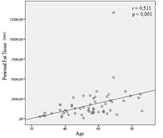 By measuring circumference of perirenal adipose tissue at the side of fat tissue contours (a) and