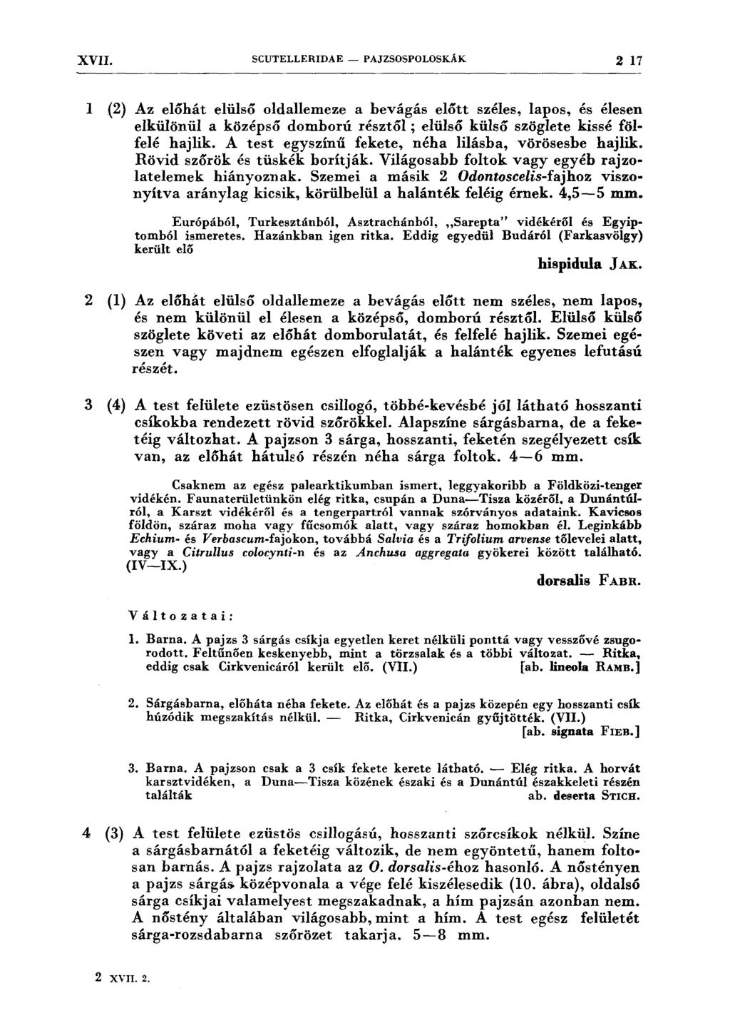 XVII. SCUTELLERIDAE - PAJZSOSPOLOSKÁK 2 17 l (2) Az előhát elülső oldallemeze a bevágás előtt széles, lapos, és élesen elkülönül a középsó domború résztól ; elülső külsó szöglete kissé fölfelé hajlik.