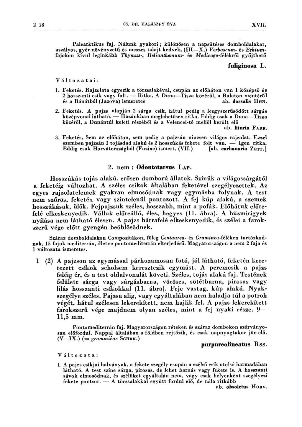 2 18 CS. DR. HALÁSZFY ÉV A XVII. Palearktikus faj. Nálunk gyakori; különösen a napsütéses domholdalakat, aszályos, gyér növényzetű és meszes talajt kedveli. (III-X.