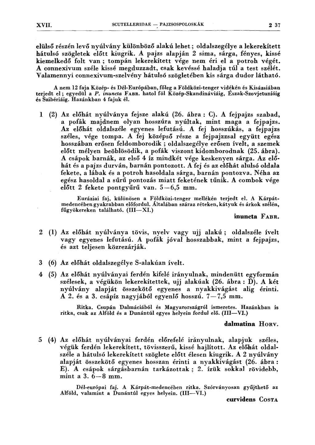 XVII. SCUTELLERIDAE- PAJZSOSPOLOSKÁK 2 37 elülső részén levő nyúlvány különböző alakú lehet; oldalszegélye a lekerekített hátulsó szögletek előtt kiugrik.