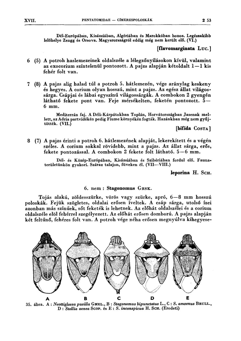XVII. PENTATOMIDAE- C1MERESPOLOSKÁK 2 53 Dél-Európábán, Kisázsiában, Algériában és Marokkóban honos. Legészakibb lelőhelye Zengg és Orsova. Magyarországról eddig még nem került elo. (VI.