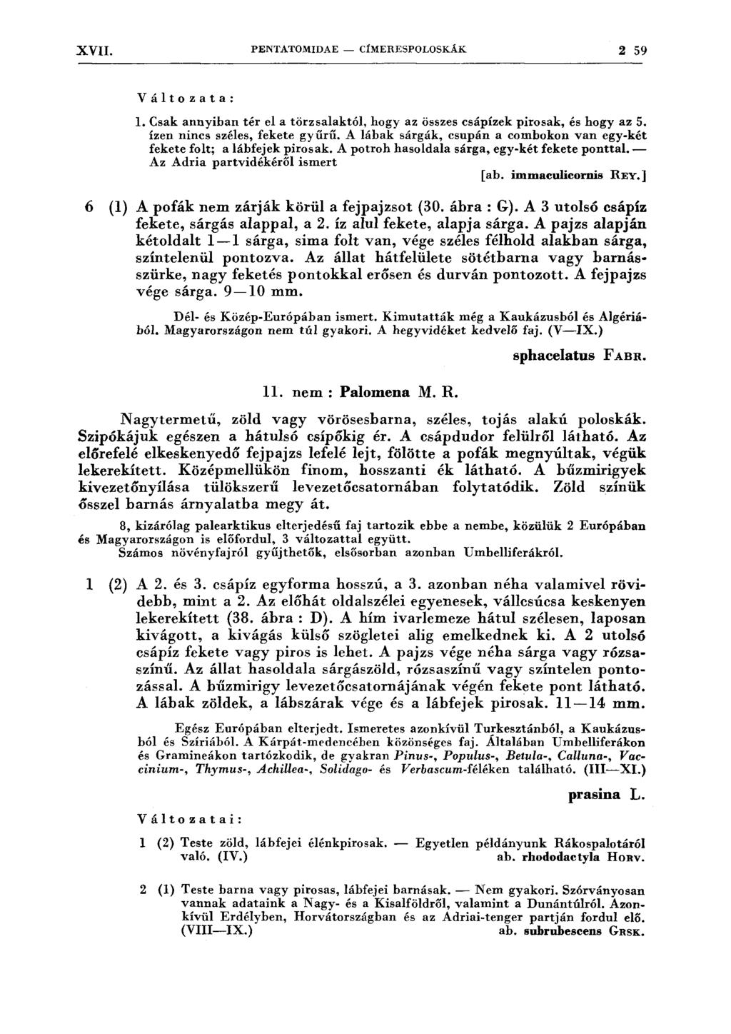 XVII. PENTATOMIDAE - CÍMERESPOLOSKÁK 2 59 Változata: l. Csak annyiban tér el a törzsalaktól, hogy az összes csápízek pirosak, és hogy az 5. ízen nincs széles, fekete gyűrű.