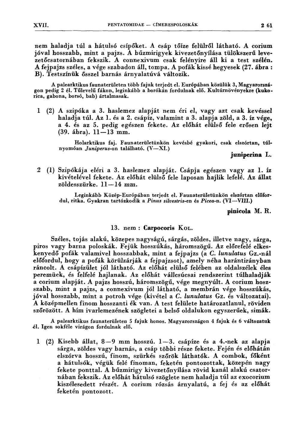 XVII. PENTATOMIDAE - CfMERESPOLOSKÁK 2 61 nem haladja túl a hátulsó csípőket. A csáp tőíze felülről látható. A corium jóval hosszabb, mint a pajzs.