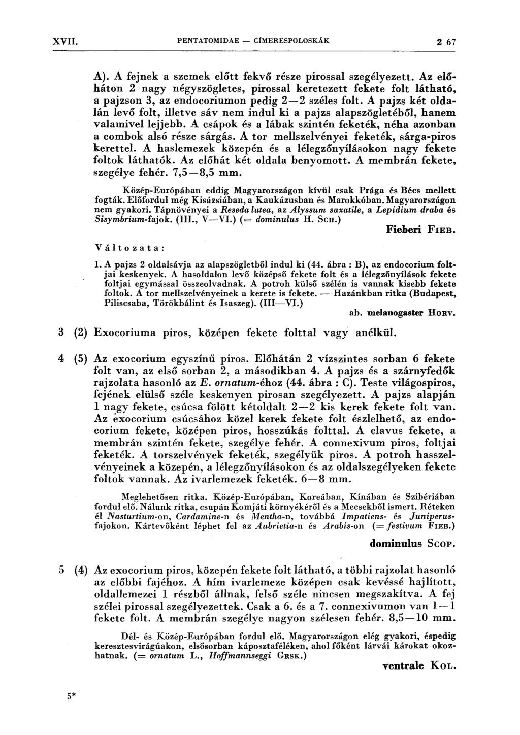 XVII. PENTATOMIDAE - CfMERESPOLOSKÁK 2 67 A). A fejnek a szemek előtt fekvő része pirossal szegélyezett.