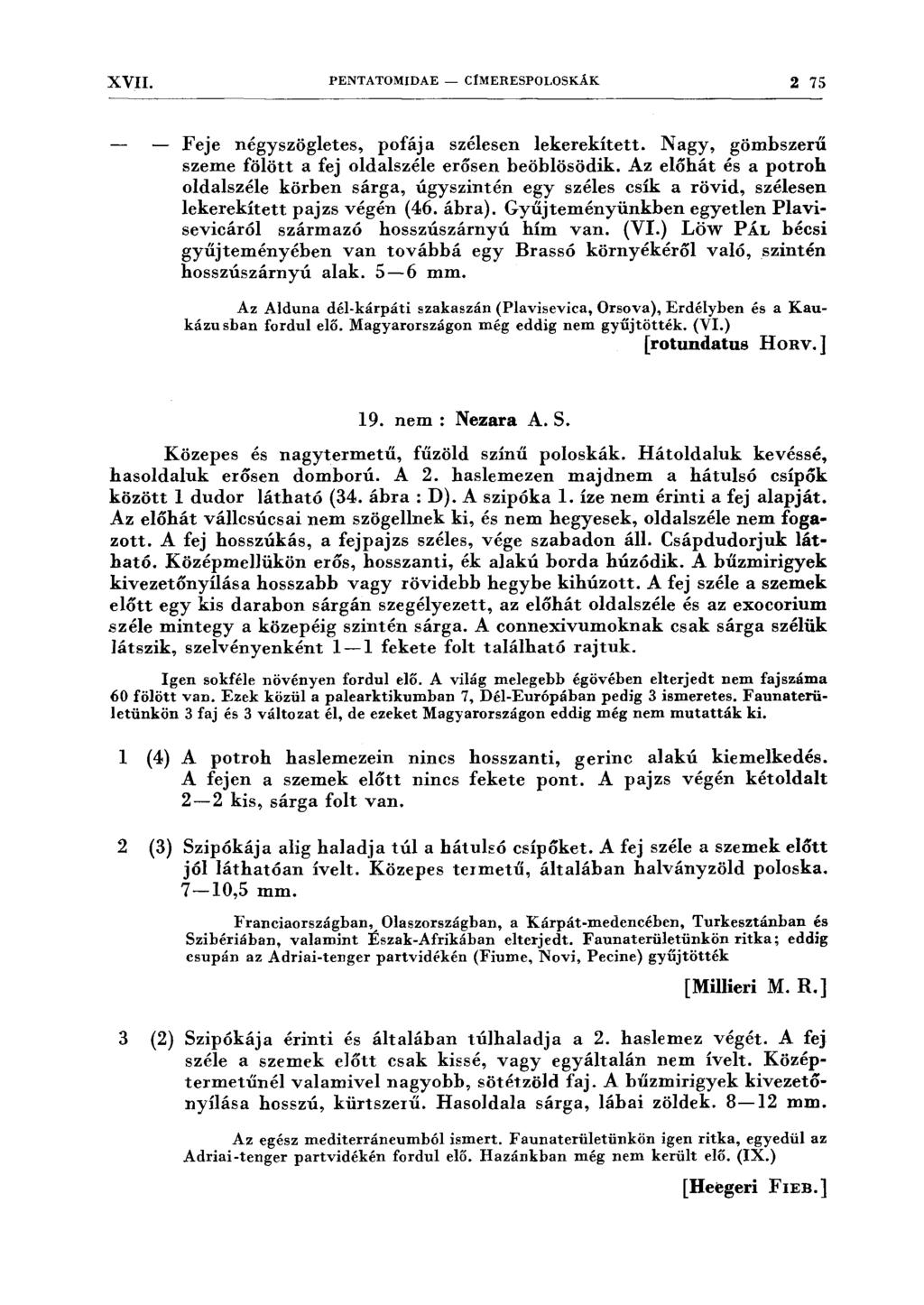 XVII. PENTATOMIDAE - CfMERESPOLOSKÁK 2 75 Feje négyszögletes, pofája szélesen lekerekített. Nagy, gömhszerű szeme fölött a fej oldalszéle erősen heöhlösödik.