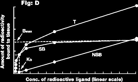 Molekuláris biológiai módszerek Receptorkötési teszt Szaturációs görbe T: összes kötés