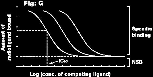 az x-tengely logaritmikus, az SB görbe szigmoid lefutású K D az a ligandmennyiség, ami a