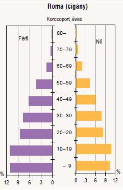 [3] A gyógyulás az orvostól függ, az életmódjukon nem változtatnak. [3] 1. Kemény I, Havas G: Cigánynak lenni. Társadalmi riport.