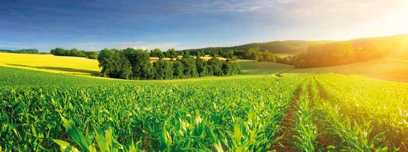 Minimum 200 liter Total Agri kenőanyag vásárlása esetén EGY KIVÁLÓ MINŐSÉGŰ MELLÉNYT ADUNK AJÁNDÉKBA! Az akció keretein belül egy vásárló több ajándékra is jogosult lehet.