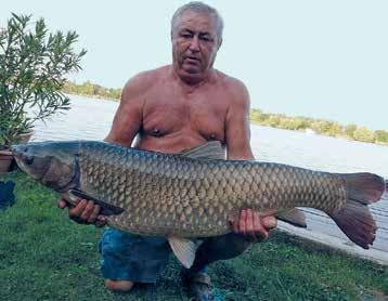 igazolólapjára 8,1 kg-os súly és 85 cm-es hossz került.