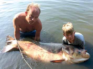 A 90 cm hosszú ragadozó 7,4 kg-ot nyomott mérlegeléskor.