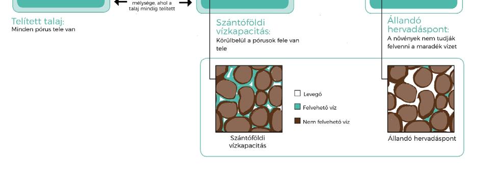 Ha nagyjából egyenl arányban vannak jelen, a talaj vályogos állagú.