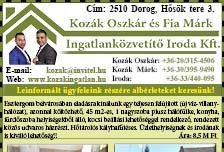 Rövid határidővel vállal: Bádogos munkákat, -Teraszok építését, illetve tetők javítását.