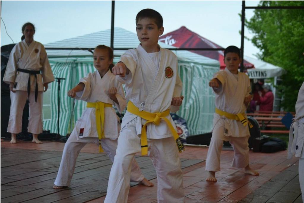 2015. 04. 25. XII. Ippon Shobu Diákolimpia Április 25-én Mogyoród adott otthont a XII. Ippon shobu diákolimpiának, melyet az SKI Szövetség szervezett.