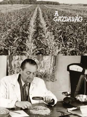 tak a kukoricatermesztés eredményességét megalapozó agrotechnikai újítások is.