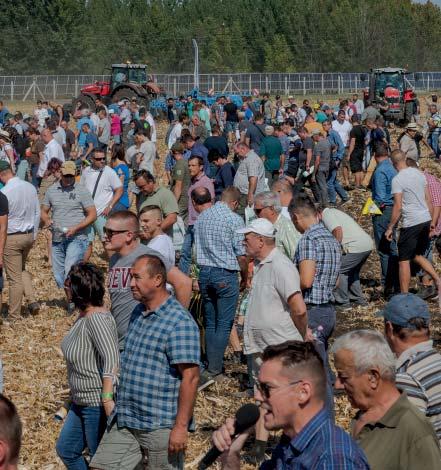 A szűrési szempontrendszer elsődlegesen arra épített, hogy azok között a cégek között kerestük a legkiválóbbakat, amelyek az Európai Uniós jogszabályok szerint kis- és középvállalatnak minősülnek.