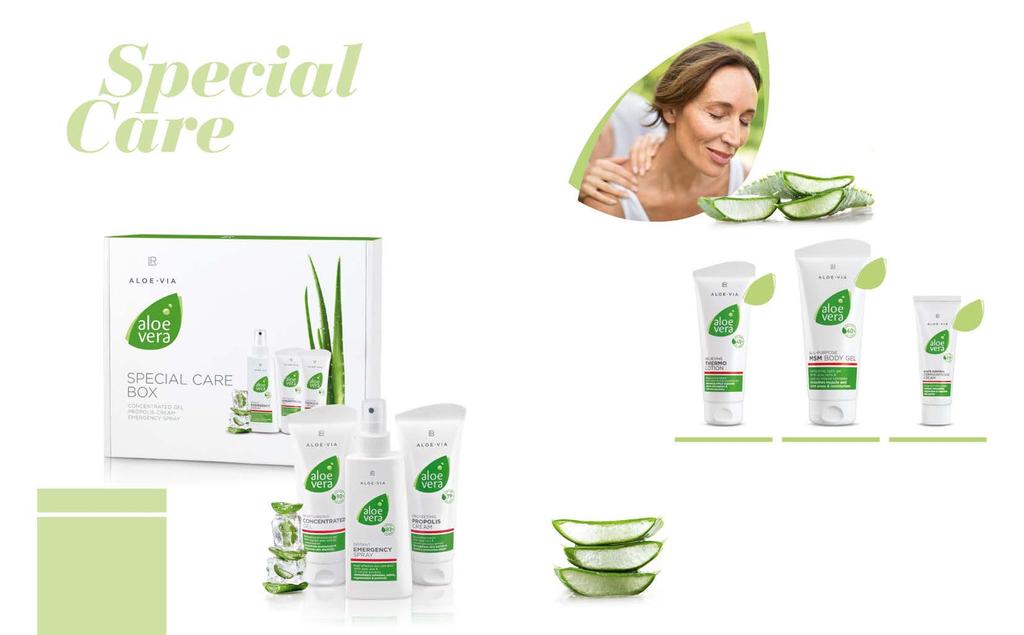 LR ALOE VIA SPECIÁLIS ÁPOLÁS 73 Gyors segítség a mindennapokban Egy box minden helyzetre: bőrirritációk esetén a három Aloe Via specialista természetes bőrregenerációt és maximális ápolást garantál.