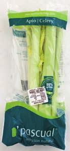 2519,- RADICCHIO SALÁTA 1,2 /karton