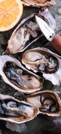 HALPIACUNKRÓL A HÓNAP HALA: L ULTIME OSZTRIGA (CRASSOSTREA GIGAS) Az osztrigát