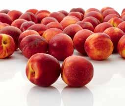 SZŐLŐ*** 1 kg