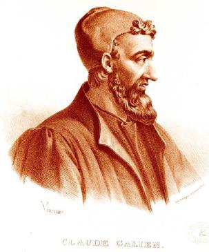 cardiologia, nephropathia, gastritis), másodsorban latin szavakból, amelyek elsősorban az anatómiai nevezéktan (Nomina Anatomica) szókincsét képezik (pl.