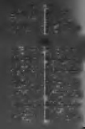 102 Oţeti-esc-it. Paradox-a. Oţeti-esc-it, i. eczetesedni. Oţetire, /. ecsetesedés. Oţetos-osă, eczetes. Oű-óué, /. tojás; clocit, záptajás. Oua-at,?*. tojni. Ouare, f. tojni. [deklő. Ouşor-ore, m.