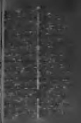 Parafulger, /. villámhárító. Paragraf-ï, f. czikkely,. Paralaxă-e, /. parallaxa, csonttörés. Paralel-ă, m. egyenközű. Paralelogram-e /. egyenközű négyszög. Parasol-óle, f. napernyő. Paratoner-e, /.