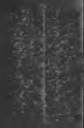112 Popor-óre Potrivă. Popor-orë, /. nép. Poporaş-e, /. néptörzs, népecske, kis nép. [tömeg. Poporime-ï, /. népesség, nép- Poposi-esc-it, i. maradni, pihenni, állomást tartani. Popri-esc-it, i.