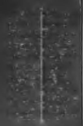 120 Ràgusélâ-elï Reparatură-Î. Răguselă-elî, f. rekettség. Răguşi-esc-it, i. berekedni. Răguşire-î, f. berekedés, rekettség. Răni-esc-it,?. sebezni. Rănit-ă; m. sebzett. Rănuţă-e, /. kis seb.