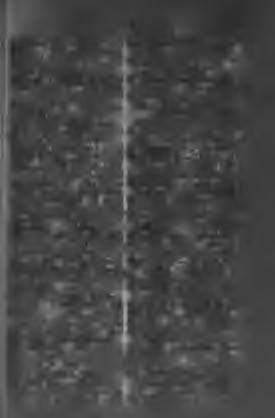 Repartiţie-iune,/. rovatai. Rëpaus, /. nyugalom, pihenés. Repede, m. gyors, lejtő; h. gyorsan, hamar. Repedi-esc-it, i. gyorsan indítni, hajtani, a se, rohanni, ráugorni, szaladni.