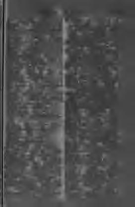 Rîu-urï, f. folyó, patak. Rîuri-esc-it, f. folyni, befolyni. Rîvnă, vágy, buzgalom, igyekezet. Róbá-e, f. rabszolganő ; taliga. Róde-ros, >. rágni. Rótá-e, /. kerék. Rouă, f. harmat. Rob-i, f.