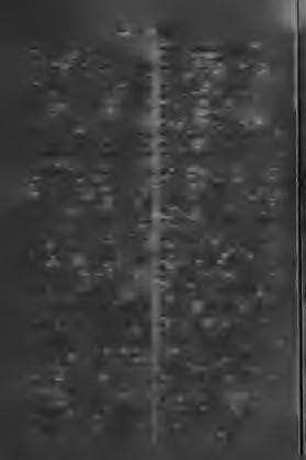 126 Săsesce Scăricică-i. Săsesce, h, szászul. Sătean-î, f. falusi. Sătul-ă, m. jóllakott. [gelni. Sătura-at, jóllakni, megelé- Săturate-ărî, f. jóllakás, megelégelés. Sătuţ = satuleţ-e, f.