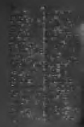 140 Talpă-tălpî Termometru-i. Talpă-tălpî, /. talp. Tamarişcă-e, f. tamarindfa. Tambură-î, f. kézi dob. Tarabă-e,/. bolţi hosszú asztal. Tarcăn-0ne, f. tarhony. Tare,m. erős, szilárd, kemény, h.