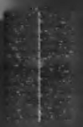 Dacă, k. ha. [felé. D a drépta, h. jobbfelől, jobb- D a dreptul, h. egyenesen, közvetlenül. Dafin-i, /. babér. Dajdie-dăjdie, /. adó. Daltă-e /. véső. Damă-e, /. hölgy, urhölgy. Damla Dacă De curênd.