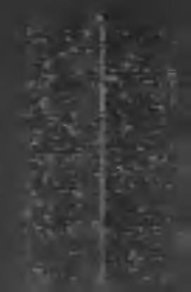 6 2 Isgonit-ă ImblâiKlire. Isgonit-ă, m. elkergetett. Isgonitor-óre, m. kergető. Islaz-urî, /. legelő. Ismă-e, /. menta; piperată, borsmenta; créçâ, fodarmenta. Ismene, /. gatya. [újra. Isnovă, h.