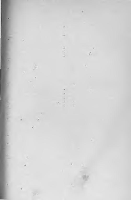 întrebuinţare-ărî înveţător-ore. 7 3 Intrebuinţare-ărî, f. használás. ţ: alkalmazás. Intrebuinţat-ă, m. alkamazott, I használt. [nyezni. întrece-ut, i. felülmúlni, verse- Intreg-éga, m.