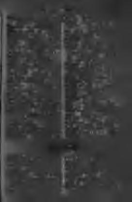 Nomolos-ósa, m. mocsáros, iszapos. Noră-nurorî, /. menye. Norcă-î, f. mocsáros vidra. Norisor-óre, /. felkőcske. Normal-a, m. rendes, szabályos. Noroc, f. szerencse. Noroci-esc-it, i. szerencséltetni.