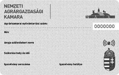 A mintapéldány bemutatását Pigniczki László vállalta magára. Nagy sikere volt a koreográfiájának, melyet valószínűleg tánctanár barátnőjének is köszönhettünk.