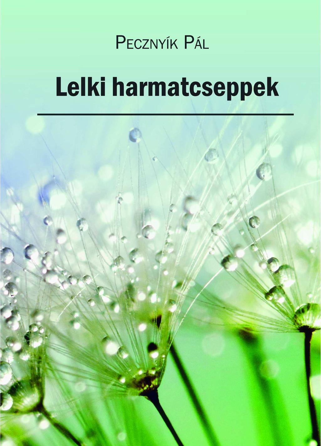boltunkon keresztül is (www.bibliaszov.hu).