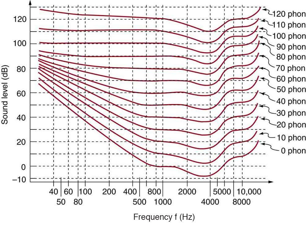 A hangosságérzet frekvenciafüggése: phon Hangosságérzet és frekvencia Hallásküszöb: egy 1000 Hz frekvenciájú tiszta hang 0 db-en Phon: azonos hangosságúnak érzékelt hangok változó arányok! (pl.