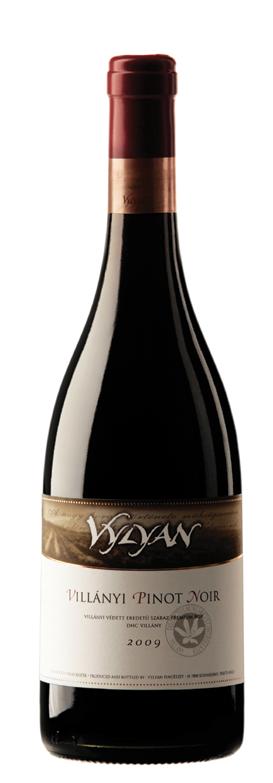 Dried sour smell causes while on flavor accompanied by a velvety finish. Meaningful, long-lived red wine.