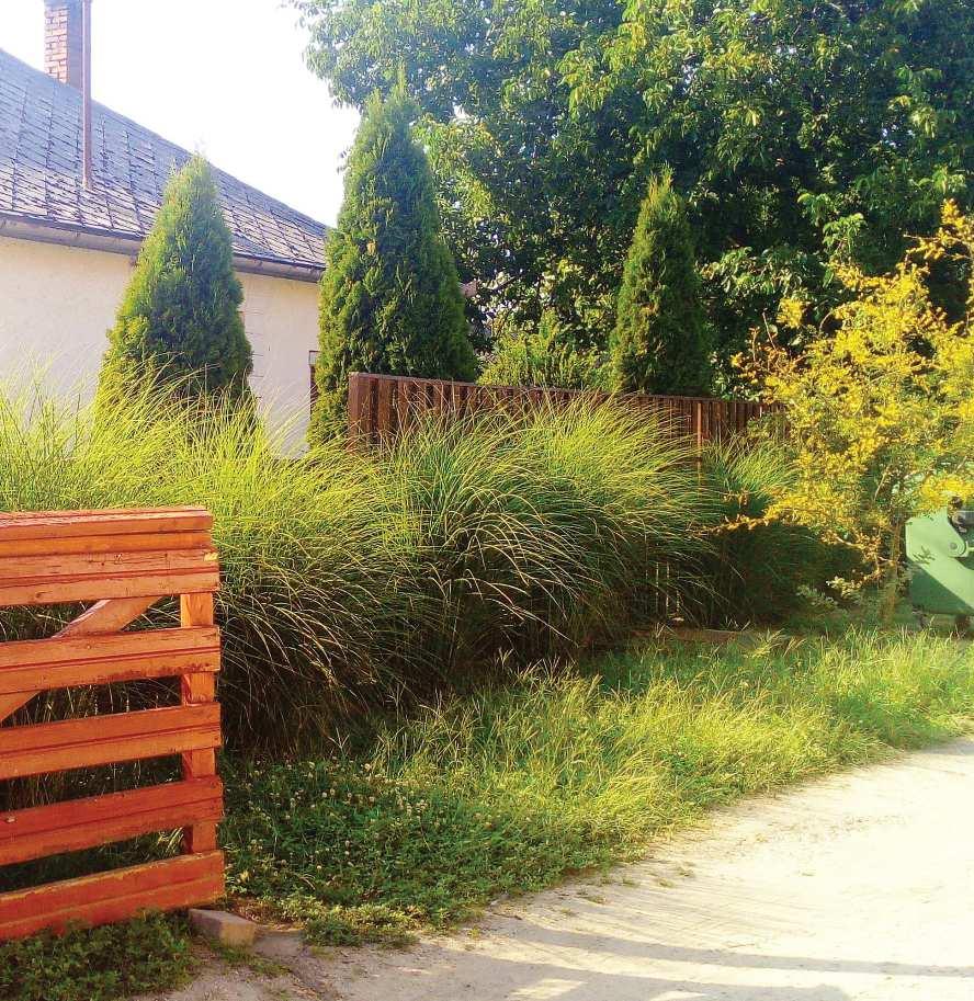 A tulajdonképpeni parasztkert csak az utca felé néz, és így területe többnyire kicsiny is. A cserjék minden kert szürke eminenciásai.