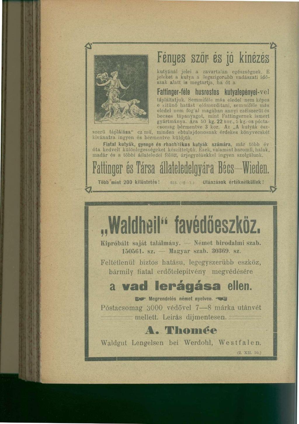 Fénges szőr és jó kinézés kutyánál jelei a zavartalan egészségnek.