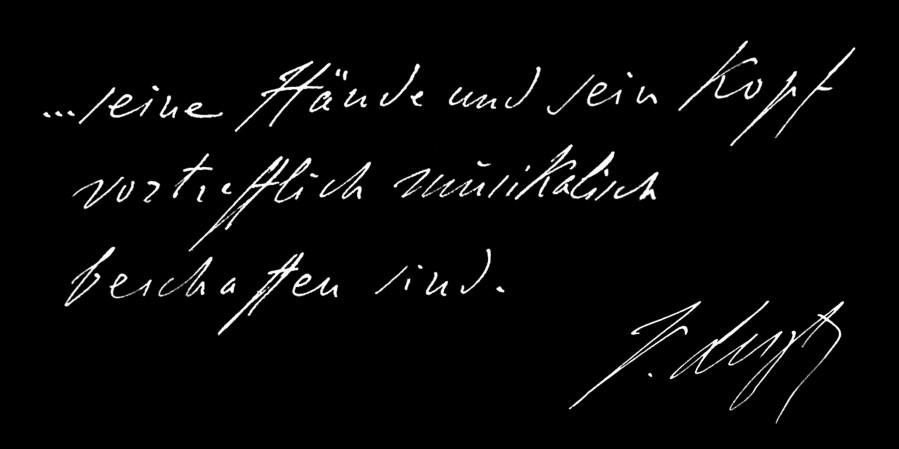 A védetté nyilvánítási határozat a Magyar Közlönyben A sírhelyre új síremléket kellett készíttetnünk, melynek fedlapjára Liszt Ferenc 1878.