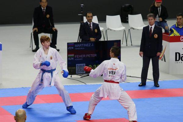 Pontszerzések a madridi világbajnokságon Ezúttal nem jött össze az éremszerzés a magyar karate versenyzőknek a felnőtt világbajnokságon.