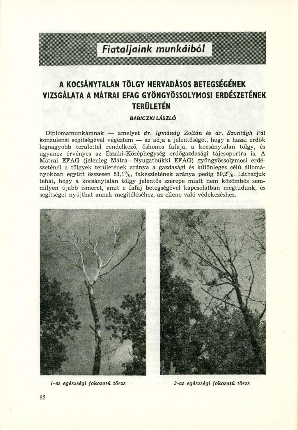 pb i Fiataljaink munkáiból IIIIH^HÍ A KOCSÁNYTALA N TÖLG Y HERYADÁSO S BETEGSÉGÉNE K VIZSGÁLATA A MÁTRAI EFA G GYÖNGYÖSSOLYMOS I ERDÉSZETÉNE K TERÜLETÉN BABICZKI LÁSZLÓ Diplomamunkámnak amelyet dr.