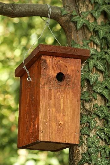 Lappantyú; Búbosbanka; Nyaktekercs; Nagy fakopáncs; Fülemüle; Házi rozsdafarkú; Fekete rigó; Örvös légykapó; Őszapó; Széncinege; Kék cinege; Csuszka; Sárgarigó; Szajkó, Seregély; Erdei pinty;